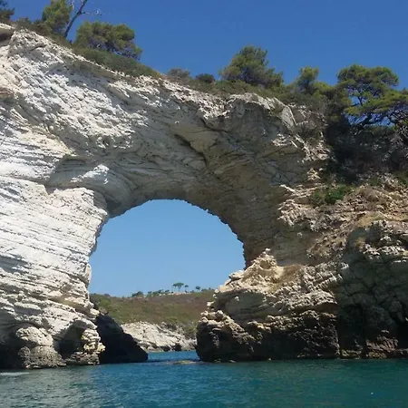 Danila Pugnochiuso Le Macine Vieste
